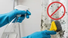 Kuinka poistaa home suihkuverhosta kotikonstein ja ilman kustannuksia