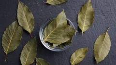 Laakerinlehtien laittaminen kylpyhuoneeseen: mitä hyötyä siitä on ja miksi sitä suositellaan