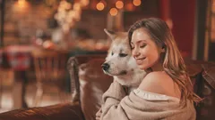 Miten eläinlääkärin mukaan saa koiran tuntemaan olonsa rakastetuksi?