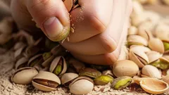 Pistaasinkuorien käyttö kasveilla: mihin se sopii ja mitä hyötyjä siitä on