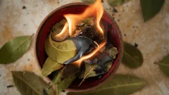 Appelsiinin ja laakerinlehden yhdistäminen: miksi se on hyödyllistä ja suositeltavaa