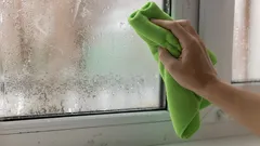Näin estät kosteuden ja homeen ikkunoissa luonnollisesti