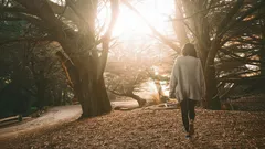 10 000 askeleen myytti: Kuinka paljon kannattaa todella kävellä terveyden ja pitkän iän saavuttamiseksi